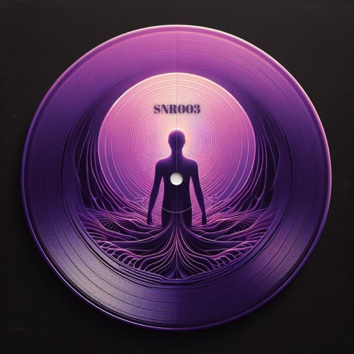 Various Artists Synerythm Records SNR003