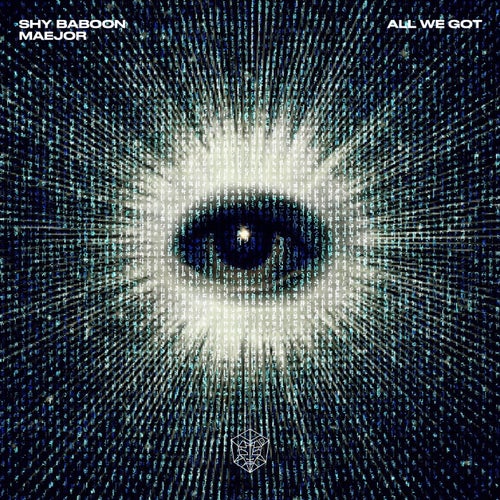 All We Got - Extended Mix