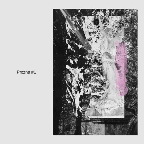 Cover art for Prɛzns #1