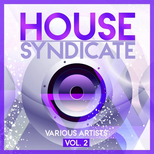 House Syndicate, Vol. 2