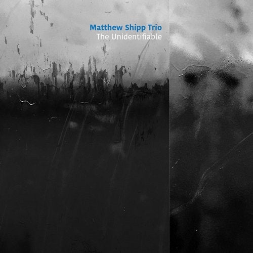 Cover art for The Unidentifiable
