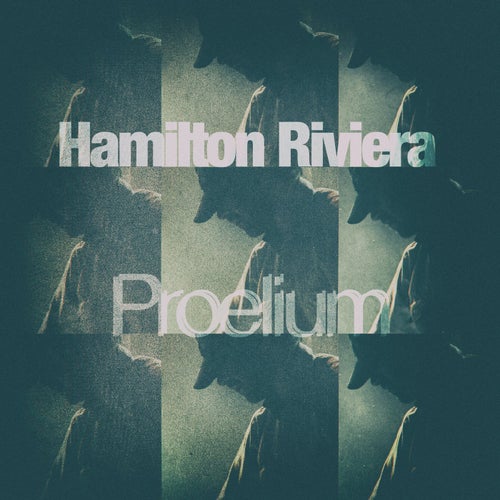 Proelium