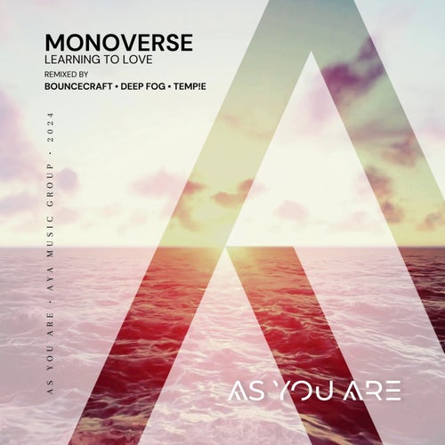  Monoverse - Learning to Love Remixed (2024) 