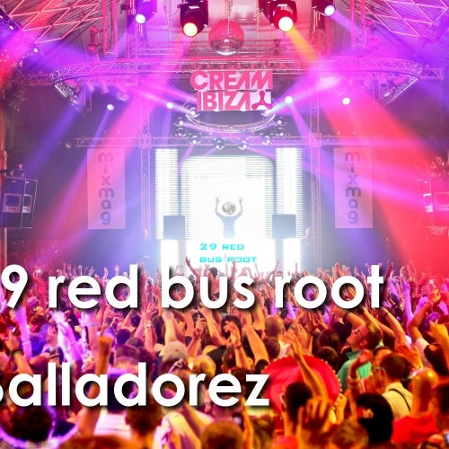 29 red bus root