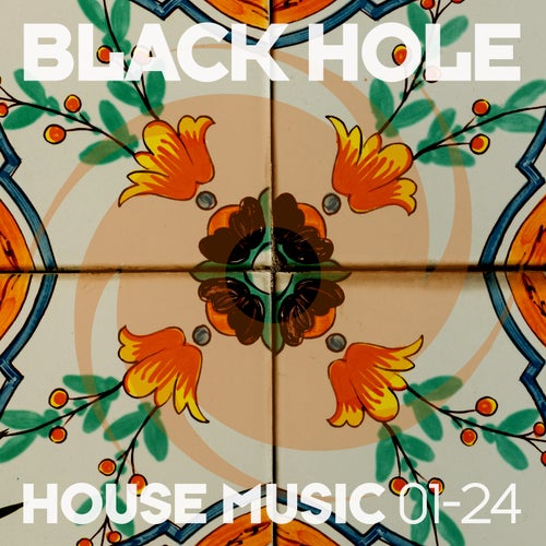 Black Hole House Music 01-24