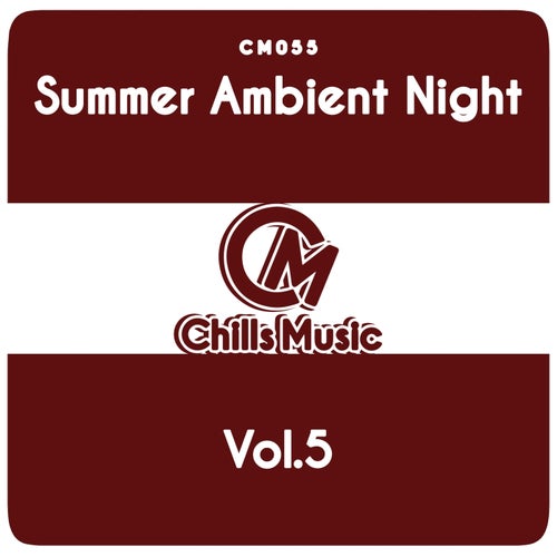 Summer Ambient Night, Vol. 5