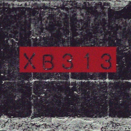 XB313