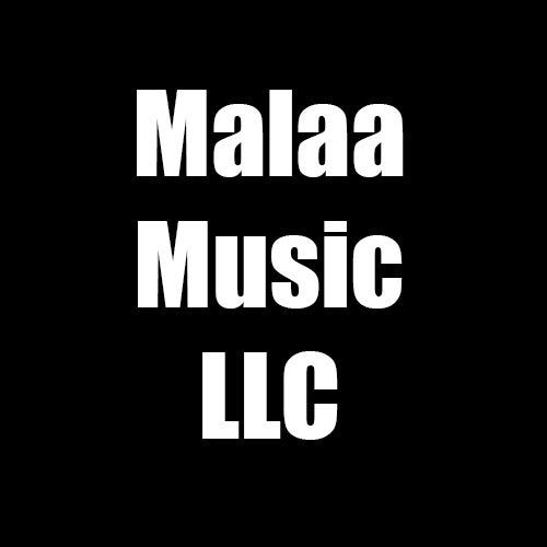 Malaa Music LLC