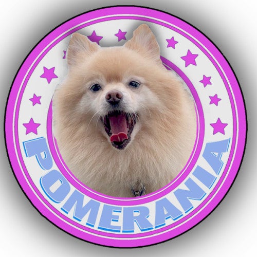 Pomerania Musik