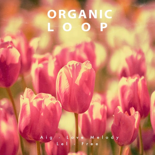Love Melody [Organic Loop]