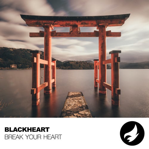 Cover art for Break Your Heart