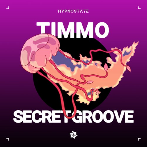 Secret Groove