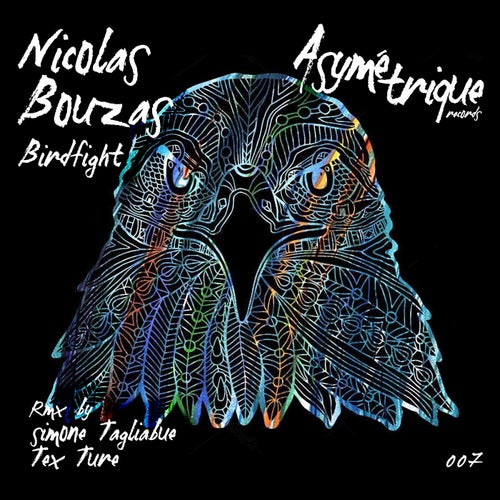 Birdfight