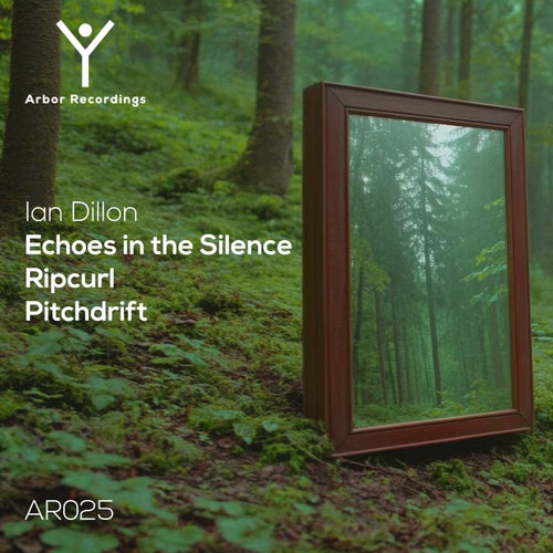 Echoes in the Silence
