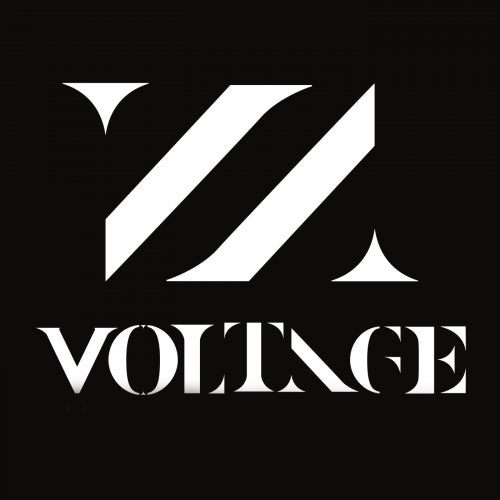 Voltage Recordings