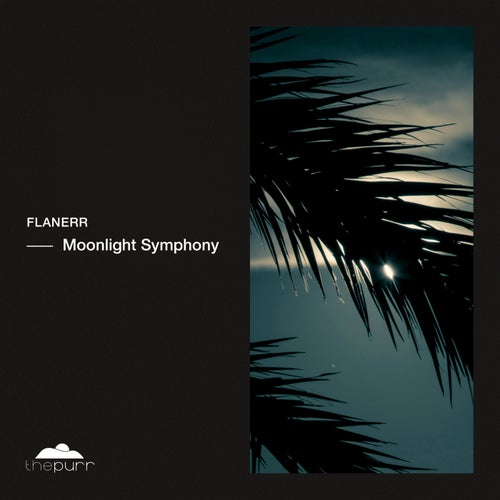  flanerr - Moonlight Symphony (2024) 