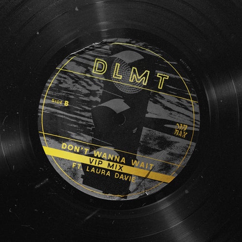 Don't Wanna Wait (feat. Laura Davie) [VIP Mix]