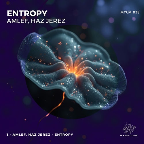 Entropy