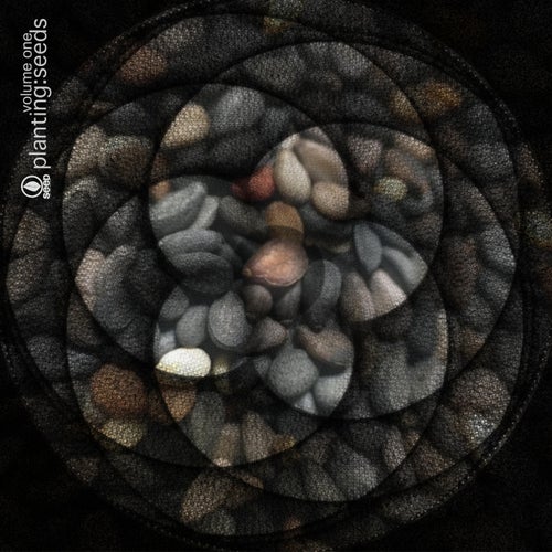 Cover art for Planting Seeds, Vol. 1