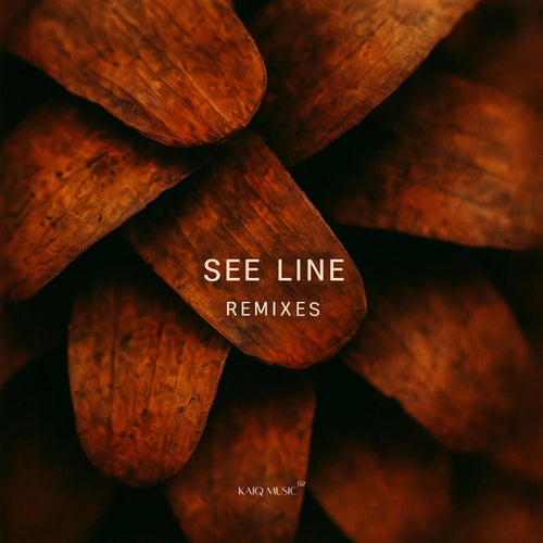 See Line Remixes