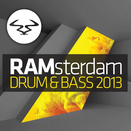 Cover art for RAMsterdam Drum & Bass 2013