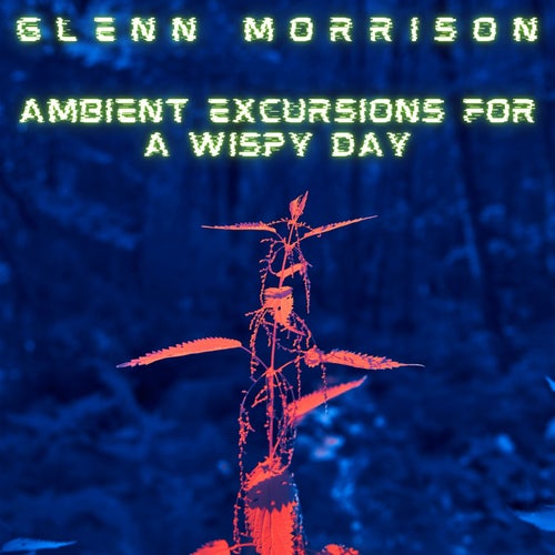 Cover art for Ambient Excursions For A Wispy Day