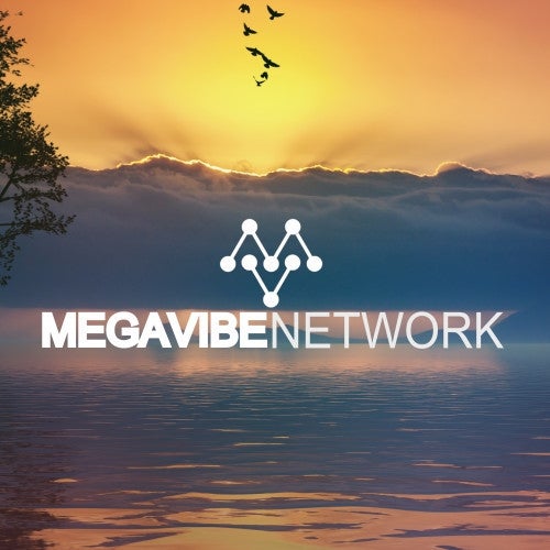 MegaVibeNetwork