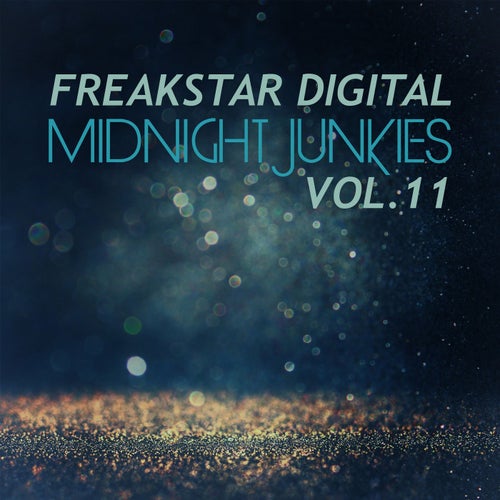 Midnight Junkies, Vol. 11