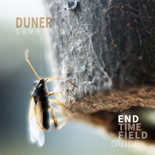 Duner