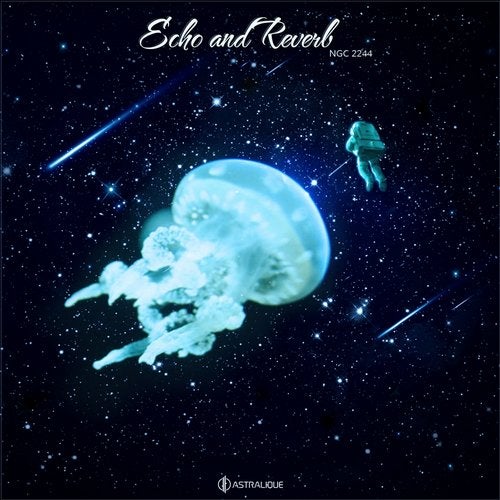 Cover art for Echo & Reverb