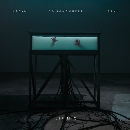 Go Somewhere (feat. RANI) (VIP Mix)