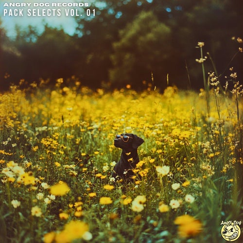 Pack Selects Vol. 01