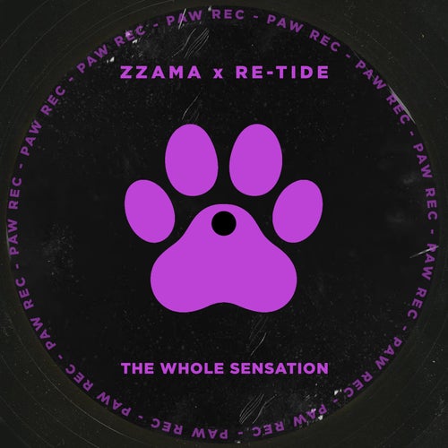 The Whole Sensation