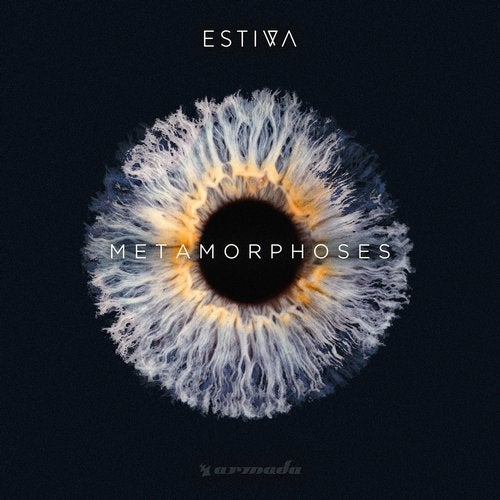 Cover art for Metamorphoses