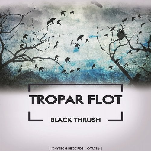 Cover art for Black Thrush