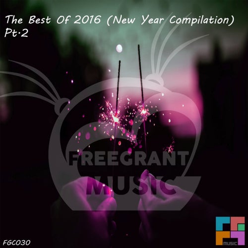 The Best Of 2016 (New Year Compilation), Pt. 2