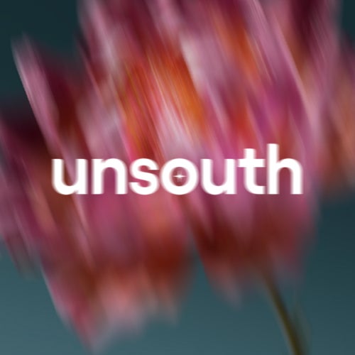 Unsouth