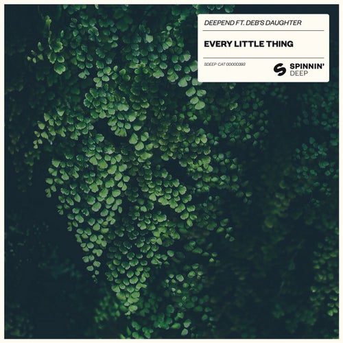 Every Little Thing (feat. Deb's Daughter) (Extended Mix)