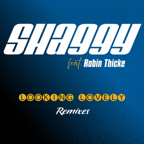 Looking Lovely (feat. Robin Thicke & ZEDDY WILL) (Remix)