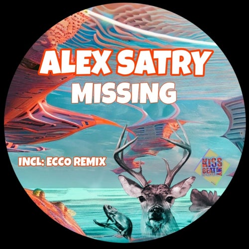 Cover art for Missing
