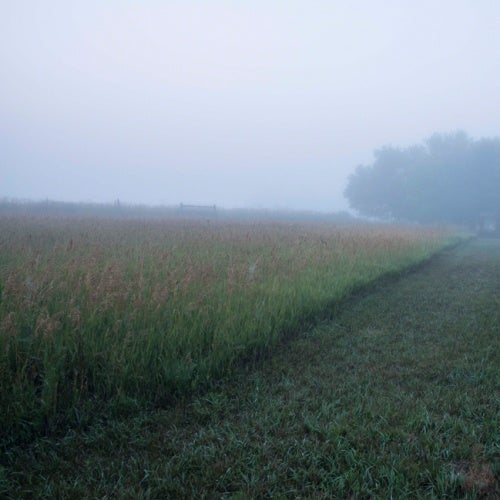 August Selection