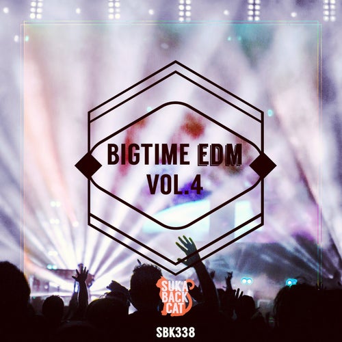 Bigtime EDM, Vol. 4