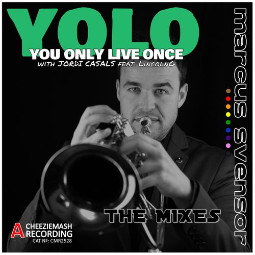Yolo (You Only Live Once) (The Mixes)