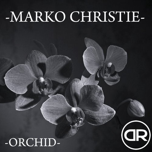 Orchid