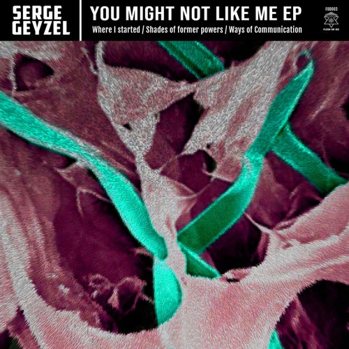 Cover art for You Might Not Like Me