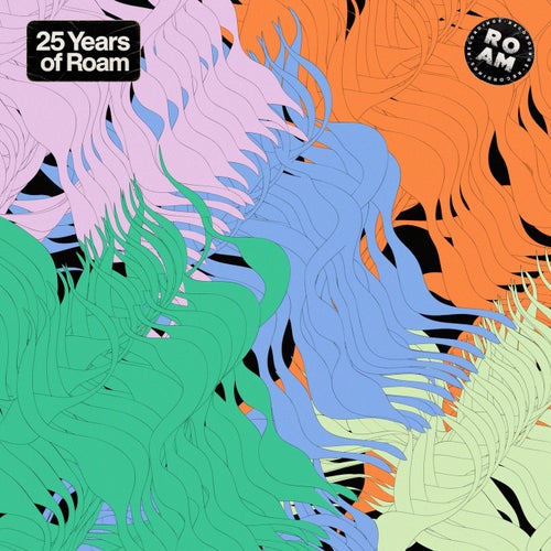  Roam 25 Year Compilation (2026) 