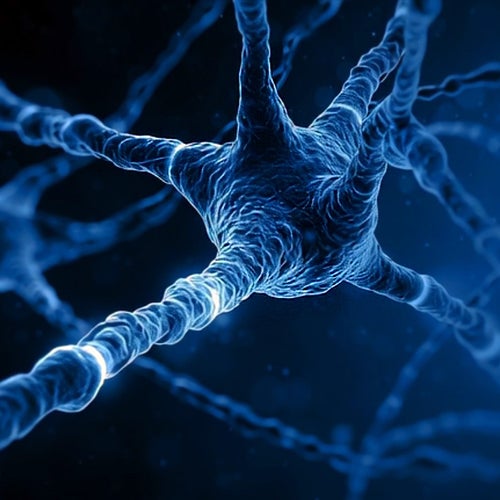 ProtoStructure