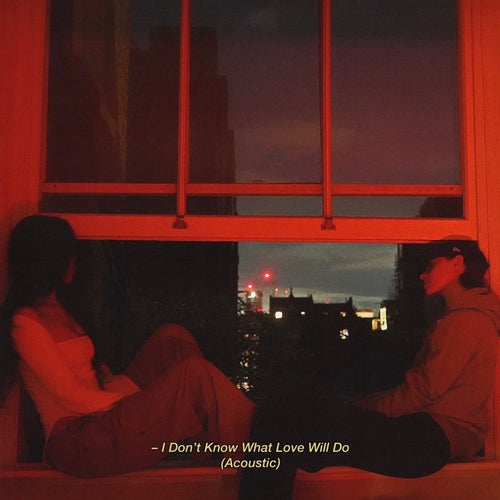 I Don't Know What Love Will Do (Acoustic)