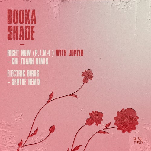 Right Now (P.I.N. 4) / Electric Birds