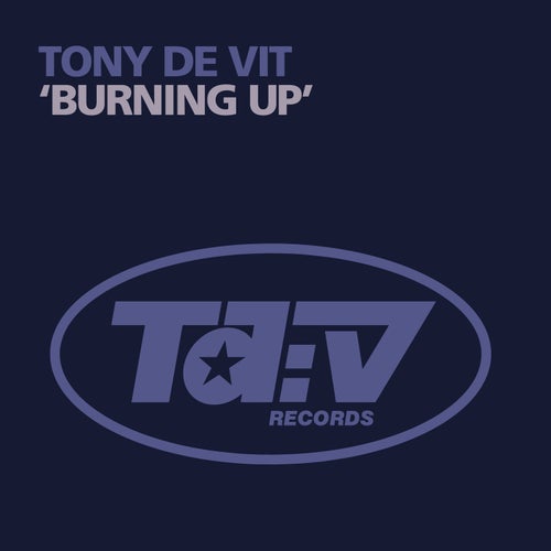 Cover art for Burning Up